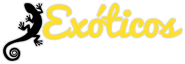 Logótipo Exóticos amarelo