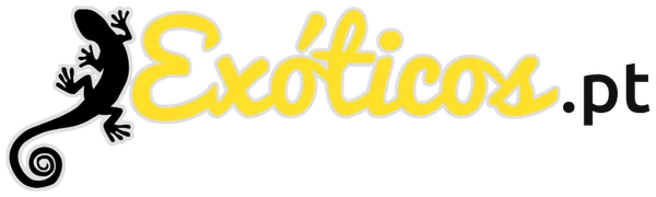 Logótipo Exóticos.pt amarelo