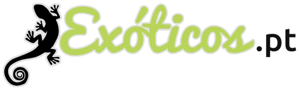 Logótipo Exóticos.pt verde
